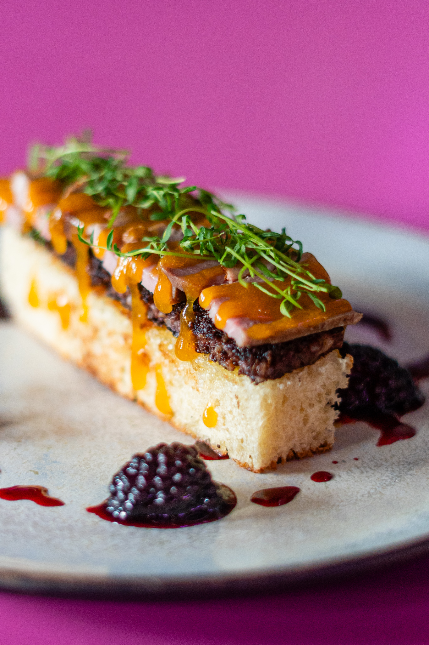 magenta 05022026 (21 of 97)