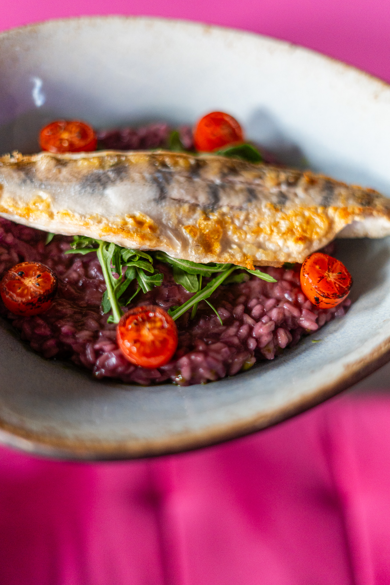 magenta 05022026 (33 of 97)